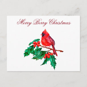Cartão Postal Cardinal Vermelho do Natal no Galho de Frutas de A