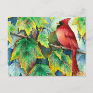Cartão Postal CardinalPostcard 004