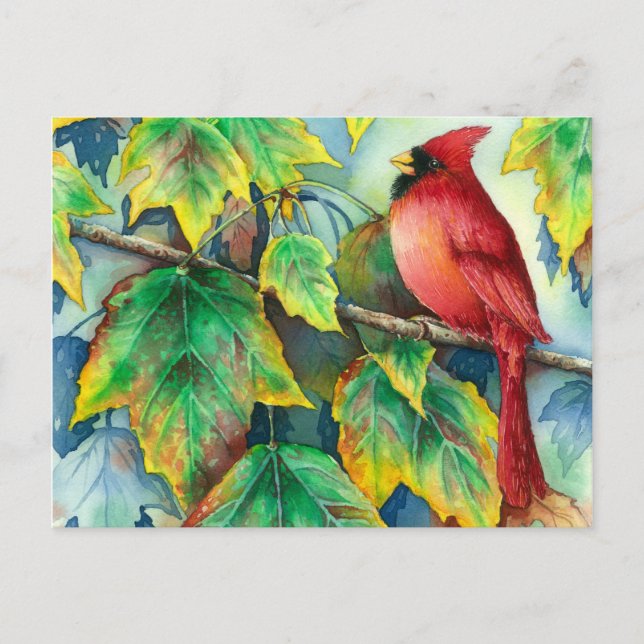 Cartão Postal CardinalPostcard 004 (Frente)