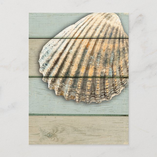 Cartão Postal Cardita Shell (Frente)