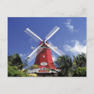 Cartão Postal Caribe, Aruba. Moinho Antigo, convertido em 'Moinh