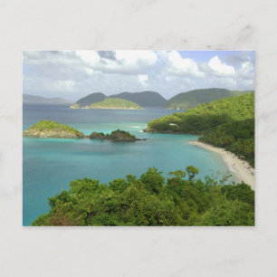 Cartão Postal Caribe, Ilhas Virgens Americanas, St. John, Tronco