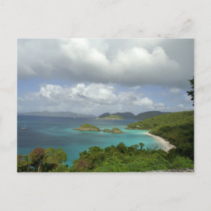 Cartão Postal Caribe, Ilhas Virgens dos EUA, St. John, Tronco 3