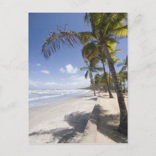 Cartão Postal Caribe - Trinidad - Manzanilla Beach em