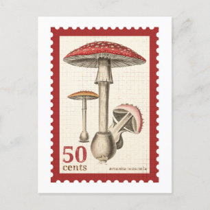 Cartão Postal Carimbo de Carimbo do Cogumelo