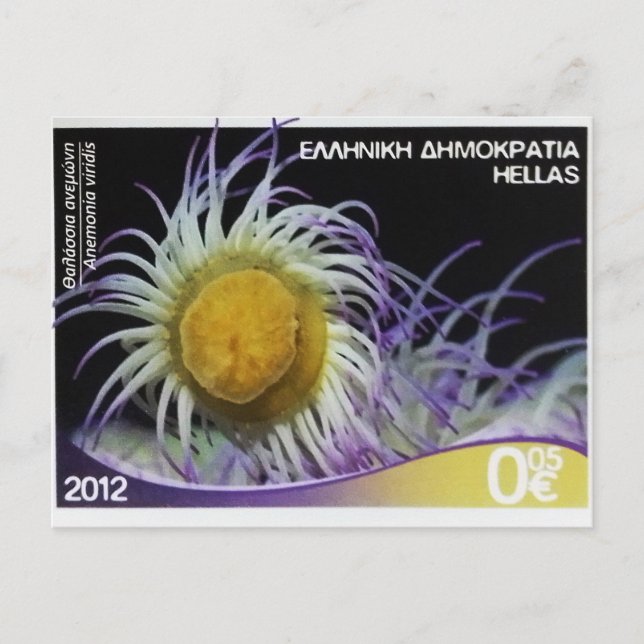 Cartão Postal Carimbo grego Snakelocks anemone (Frente)