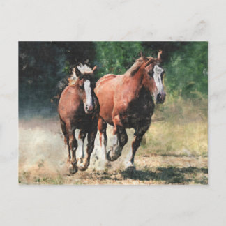 Cartão Postal Carimbo postal dos cavalos Breton