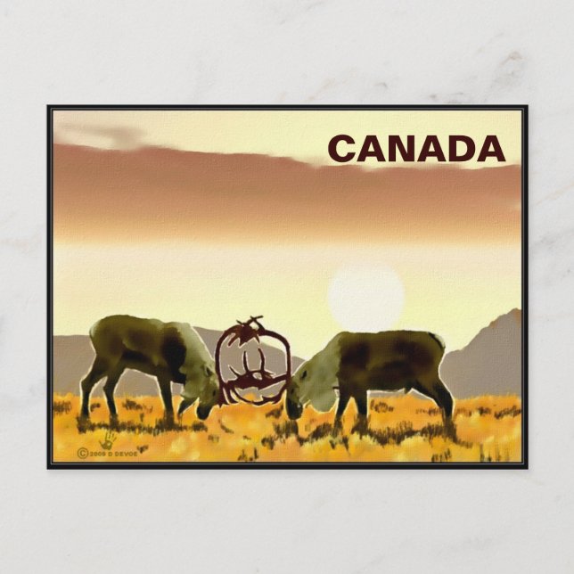 Cartão Postal Cariou Duel - Canadá (Frente)