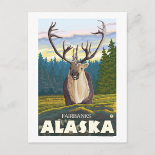 Cartão Postal Cariou em Wild - Fairbanks, Alaska