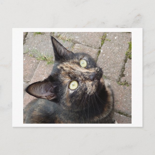 Cartão Postal Carmen (Frente)