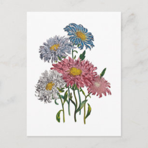 Cartão Postal Carnaval de flores