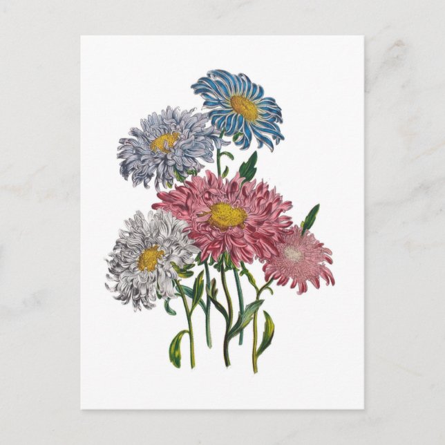 Cartão Postal Carnaval de flores (Frente)