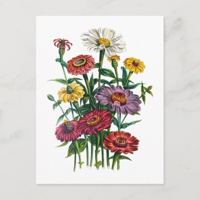 Cartão Postal Carnaval de flores (Frente)