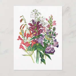 Cartão Postal Carnaval de flores
