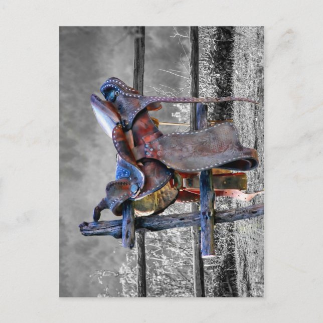 Cartão Postal Carneiro Na Cerca De Coral Ocidental (Frente)