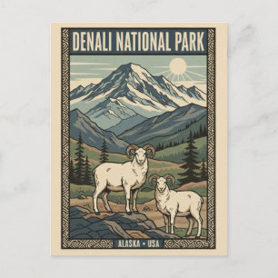 Cartão Postal Carneiros de Dall no Parque Nacional Denali Alasca
