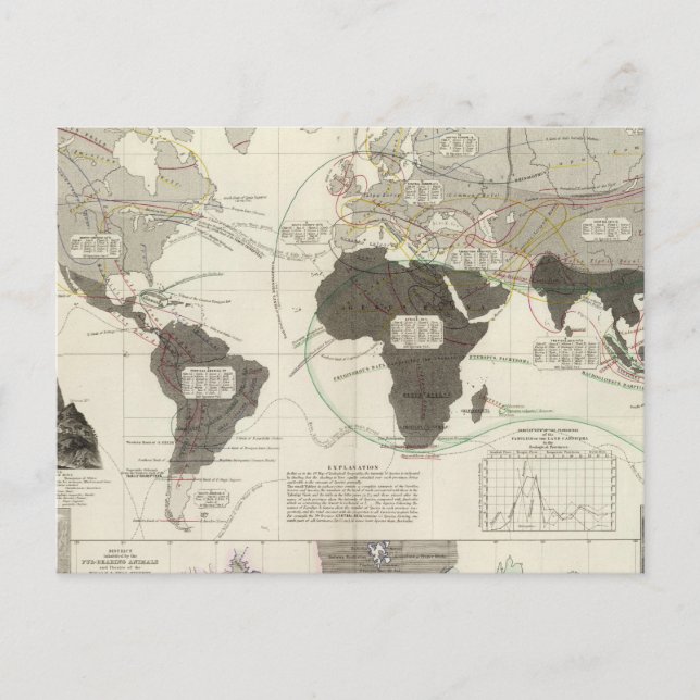 Cartão Postal Carnivora (Frente)