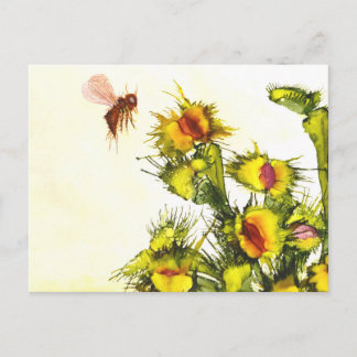 Cartão postal "Carnívoro"