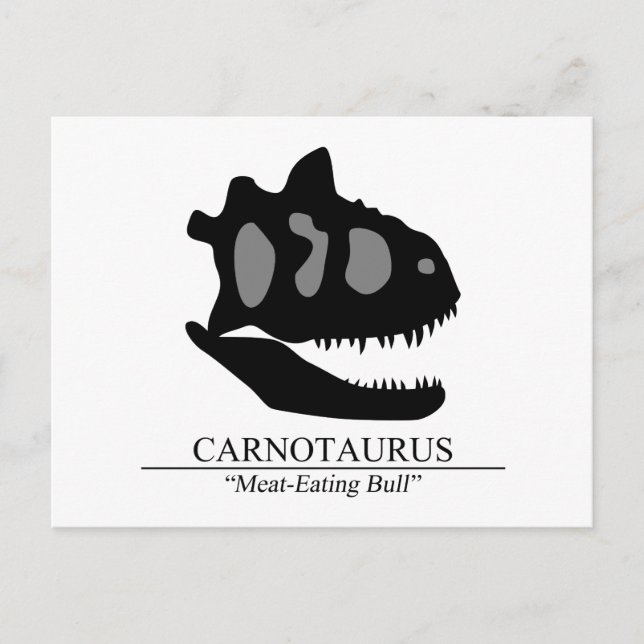 Cartão Postal Carnotaurus Skull (Frente)