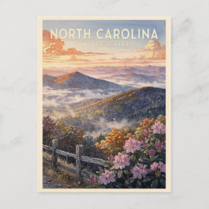 Cartão Postal Carolina do Norte EUA Viagem Vintage