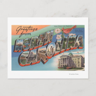 Cartão Postal Carolina do Norte (Flor/Pássaro do Estado)