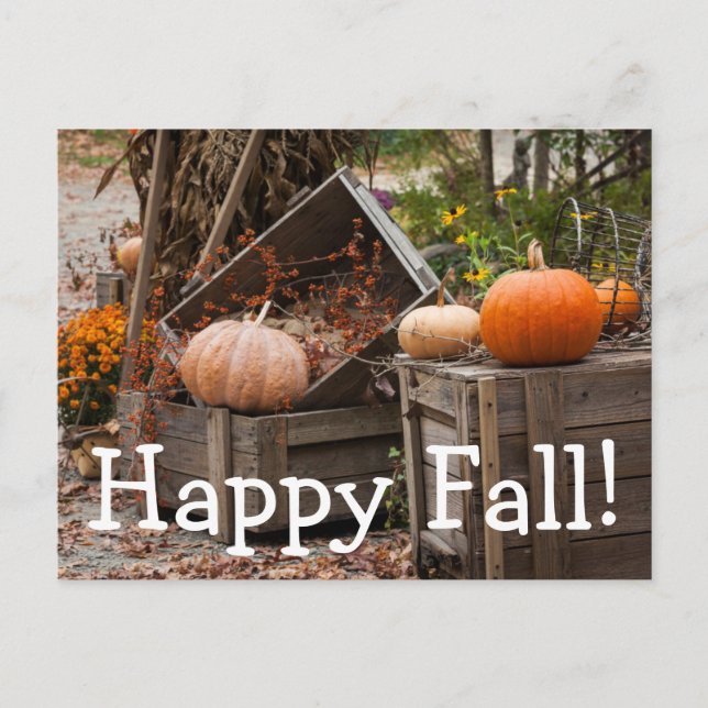 Cartão Postal Carolina do Norte, Linville, abóboras de outono (Frente)