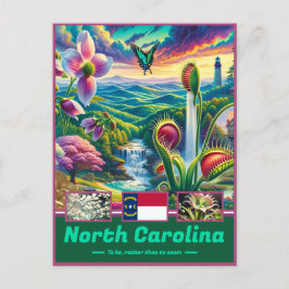 Cartão Postal Carolina do Norte Tesouros Majestosos Landscapes