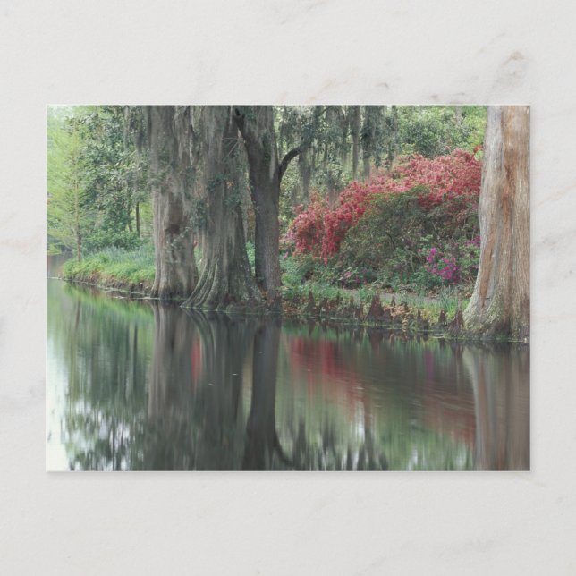 Cartão Postal Carolina do Sul, Charleston (Frente)