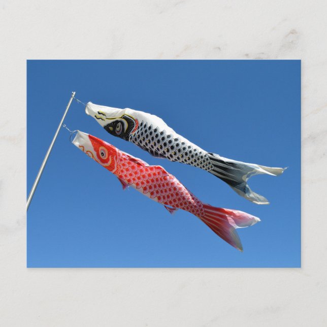 Cartão Postal Carp Streamers (Koinobori): Tóquio, Japão (Frente)