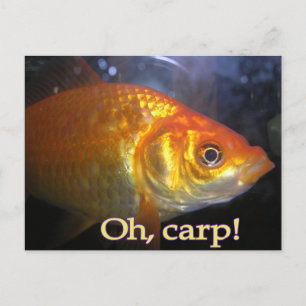 Cartão Postal Carpa!