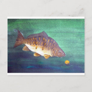 Cartão Postal Carpa espelho