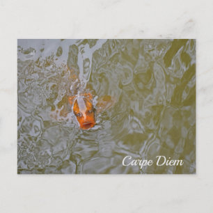 Cartão Postal Carpe Diem Pond Fish Photoshop