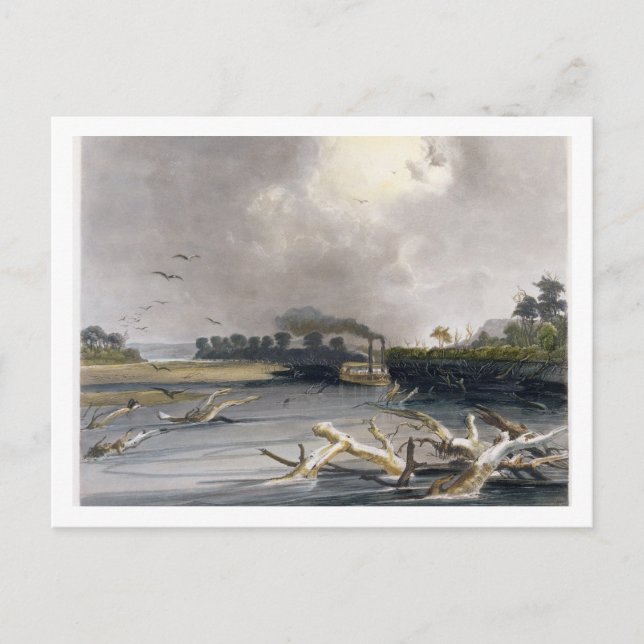 Cartão Postal Carrapatos (árvores ensolaradas) no Missouri, plac (Frente)