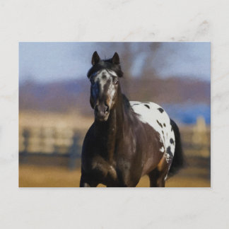 Cartão Postal Carregador