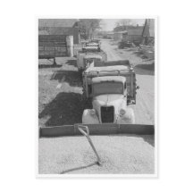 Carregamentos de milho descascado