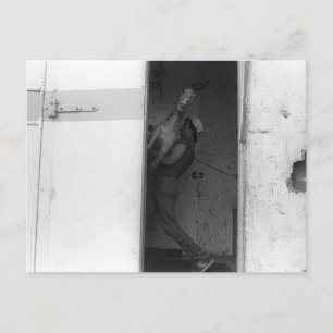 Cartão Postal Carregando do Cavalo