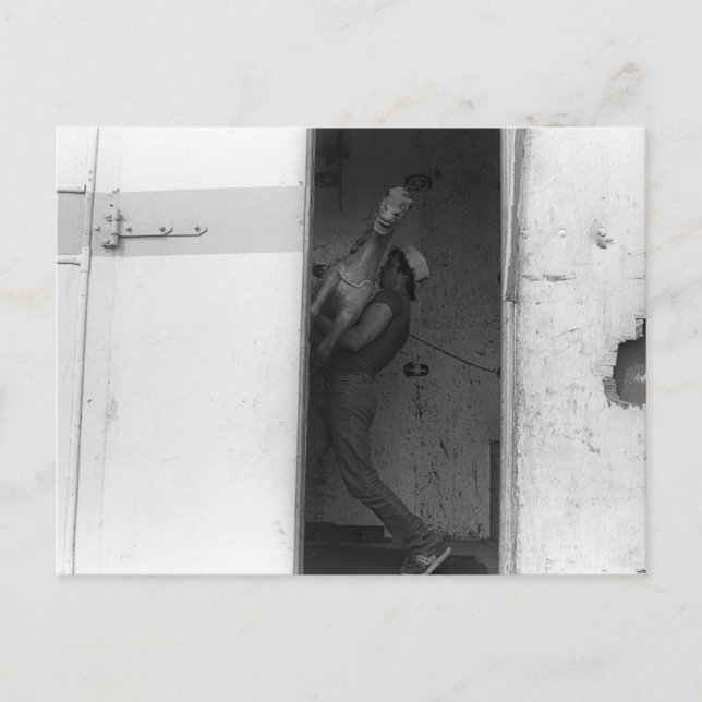 Cartão Postal Carregando do cavalo (Frente)