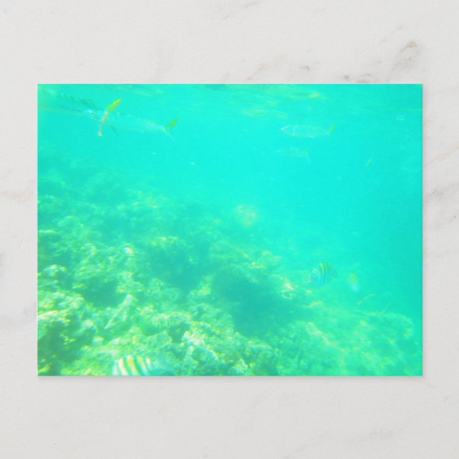 CARTÃO POSTAL CARRIBEAN 12 (Frente)