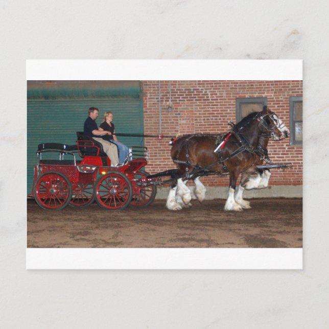 Cartão Postal Carrinho Clydesdales (Frente)