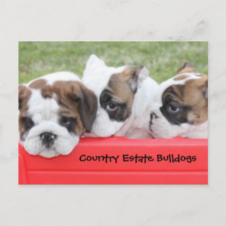 Cartão Postal Carrinho de Filhotes do Country Estate Bulldogs