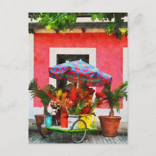 Cartão Postal Carrinho de Flores San Juan, Porto Rico