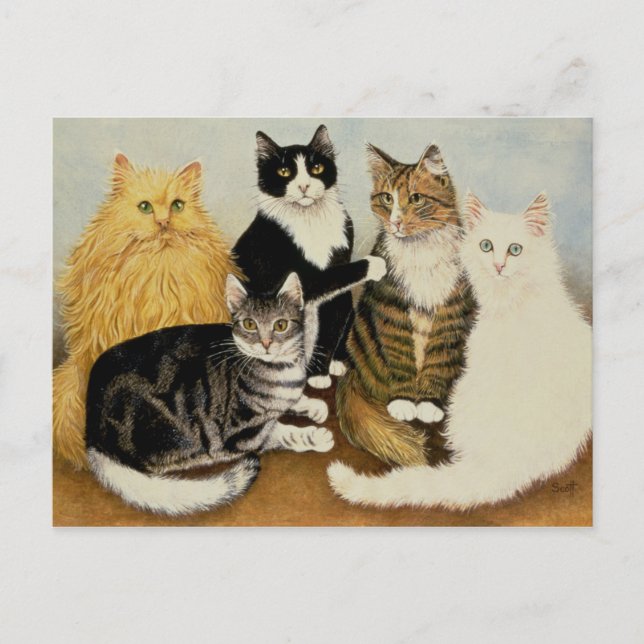 Cartão Postal Carrinho de Gato (Frente)