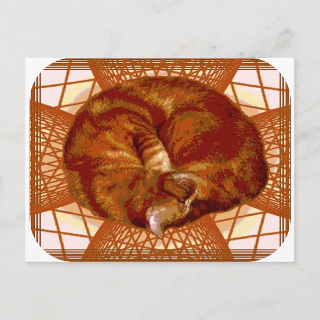 Cartão Postal Carrinho de Gato (Frente)