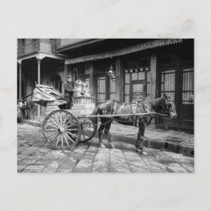 Cartão Postal Carrinho de Leite de Nova Orleans: 1903