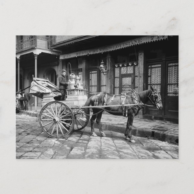 Cartão Postal Carrinho de Leite de Nova Orleans: 1903 (Frente)