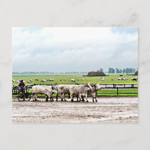 Cartão Postal Carrinho desenhado por Cinzas húngaras