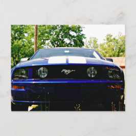 Cartão Postal Carrinho muscular - Cartão-postal azul-Shelby