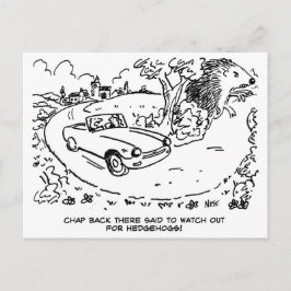 Cartão Postal Carro esportivo dirigindo no campo. Engraçado