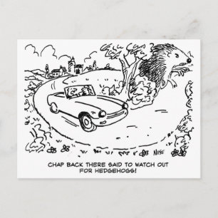 Cartão Postal Carro esportivo dirigindo no campo. Engraçado