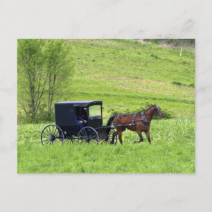 Cartão Postal Carroça e cavalo Amish perto de Berlim, Ohio.